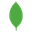MongoDB logo